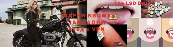 шишки Дмитровск