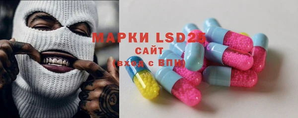 шишки Дмитровск