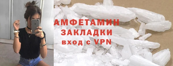 шишки Дмитровск