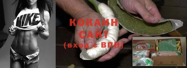 шишки Дмитровск