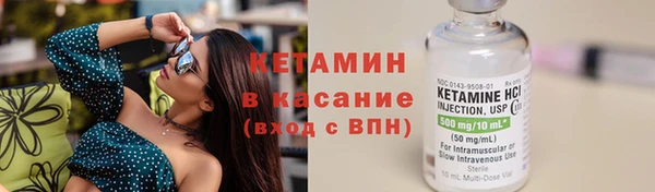 шишки Дмитровск