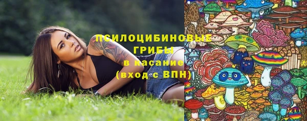 шишки Дмитровск