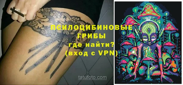 дживик Дмитров