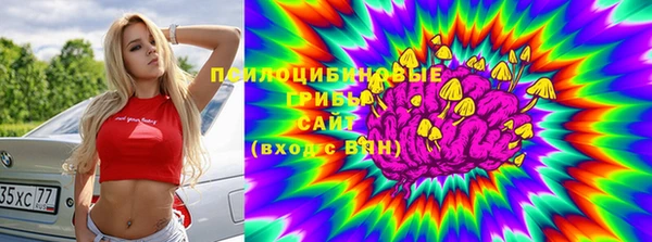 шишки Дмитровск