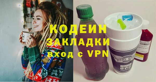 шишки Дмитровск