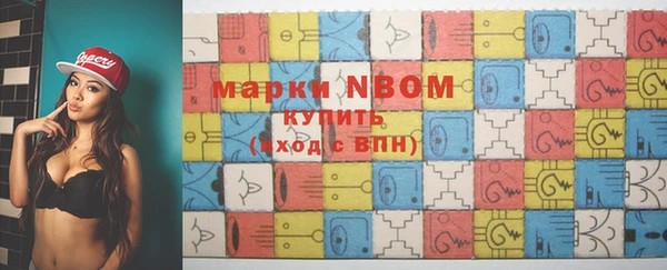 шишки Дмитровск