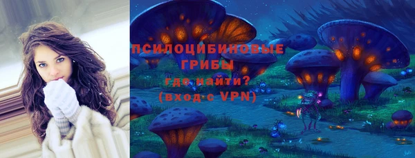 дживик Дмитров