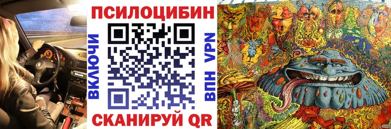 Галлюциногенные грибы Psilocybe  Купить  Котельниково 